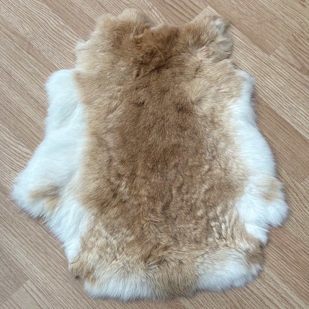 #A11 rabbit pelt
